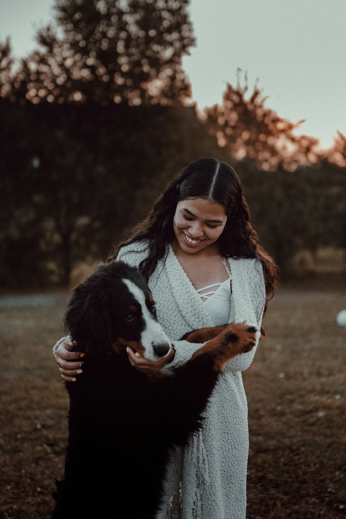 The Importance of Dog Licensing for Responsible Ownership