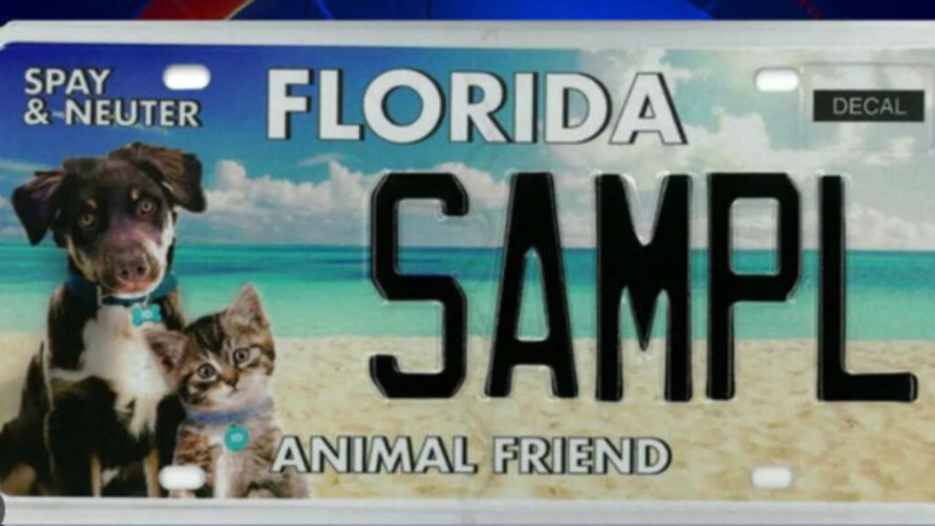 Dog License in Florida: Cost, Requirements, Renewal & Official County Information